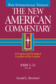 John 1-11 (#25A in New American Commentary Series)