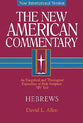 Hebrews (#35 in New American Commentary Series)