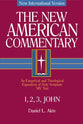 1,2,3 John (#38 in New American Commentary Series)