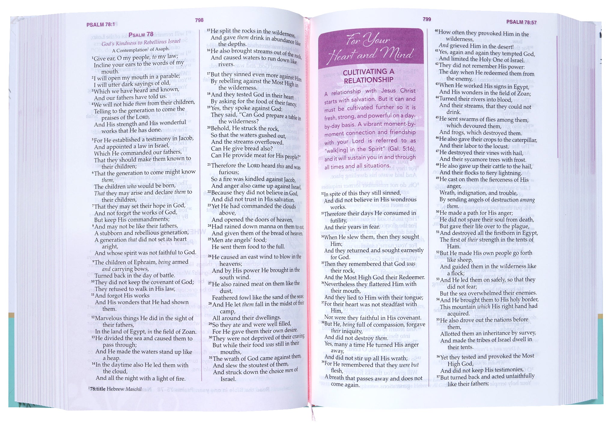 NKJV A Woman After God's Own Heart Bible (Teal)