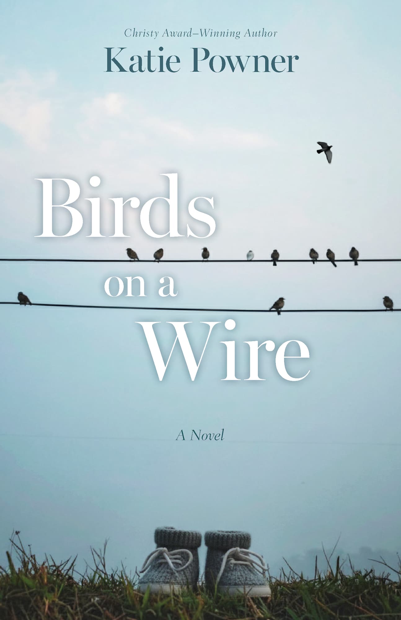 Birds on a Wire: A Novel
