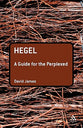 Hegel (Guides For The Perplexed Series)