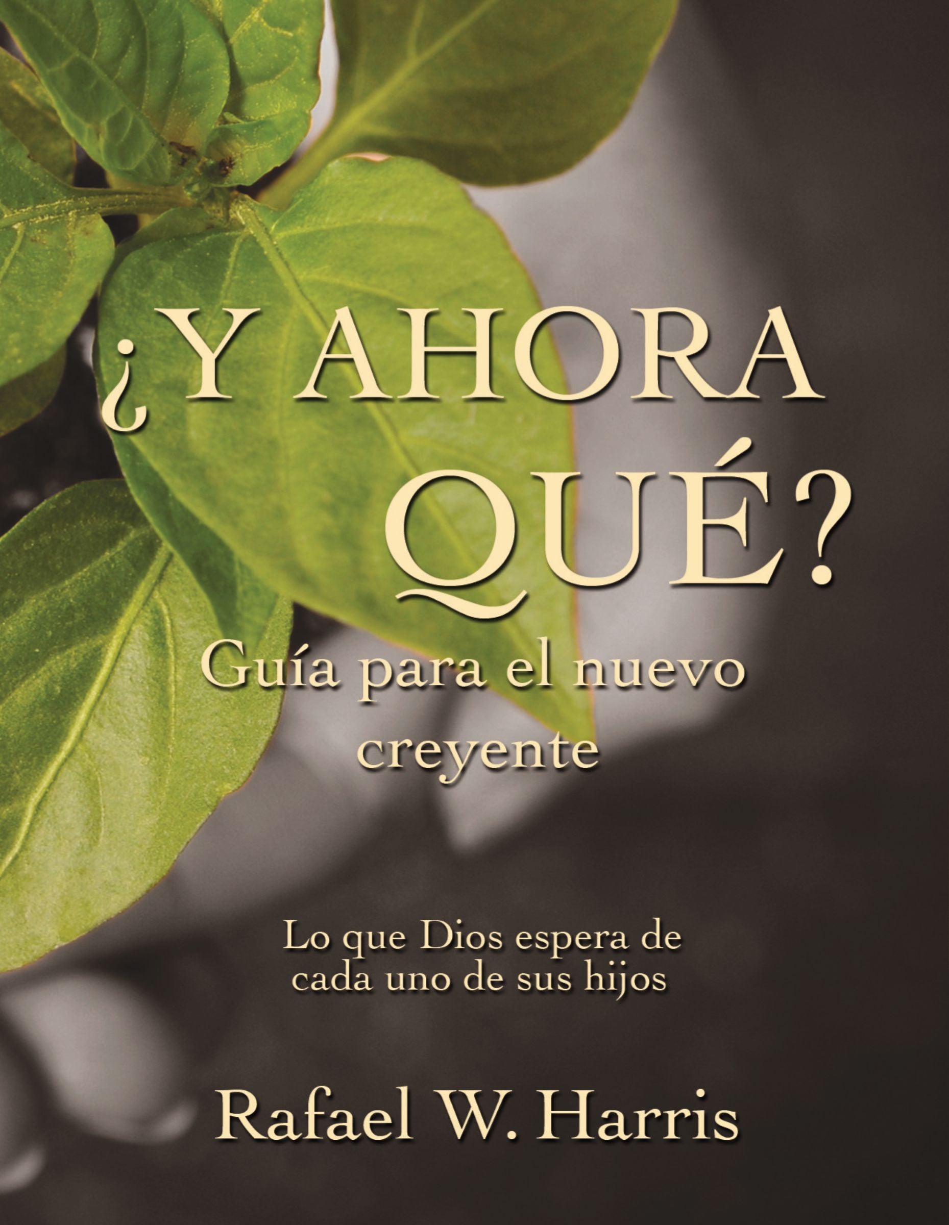 Y Ahora Que? (Now What?) (Spanish)
