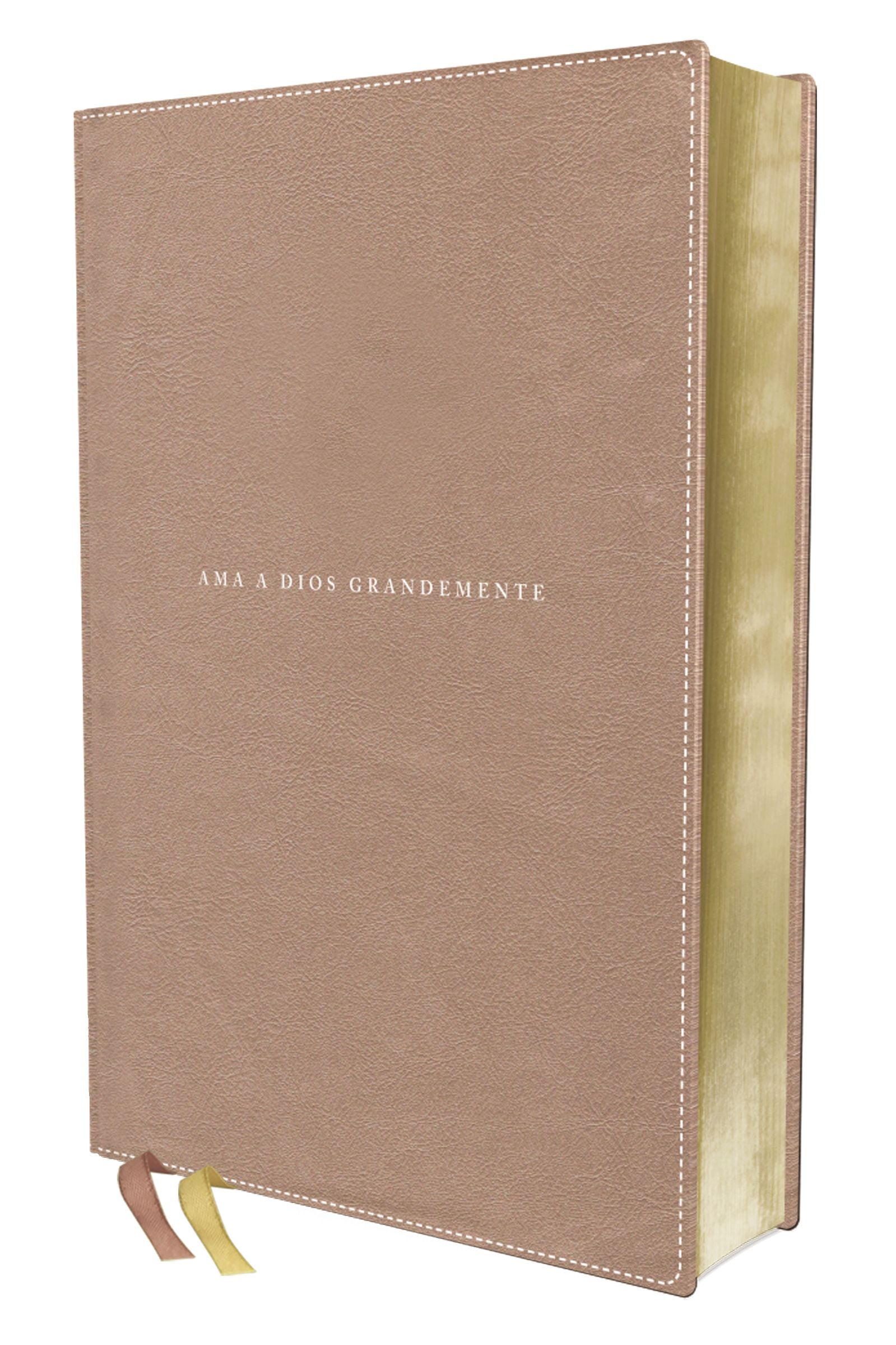 Nbla Biblia Ama a Dios Grandemente Oro Rosa Interior a Cuatro Colores