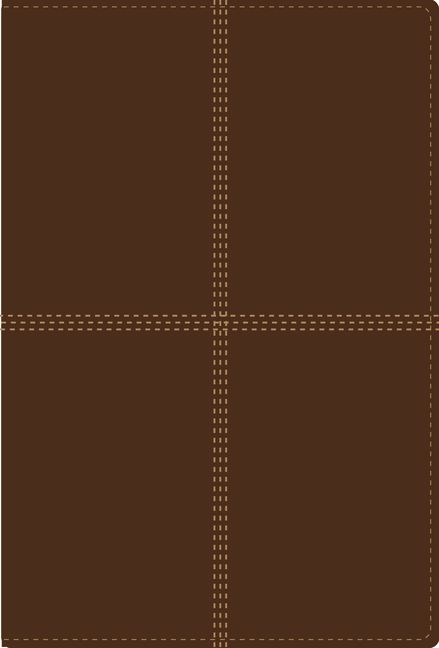 Rvr1960/Niv Biblia Bilingue (Bilingual Bible)