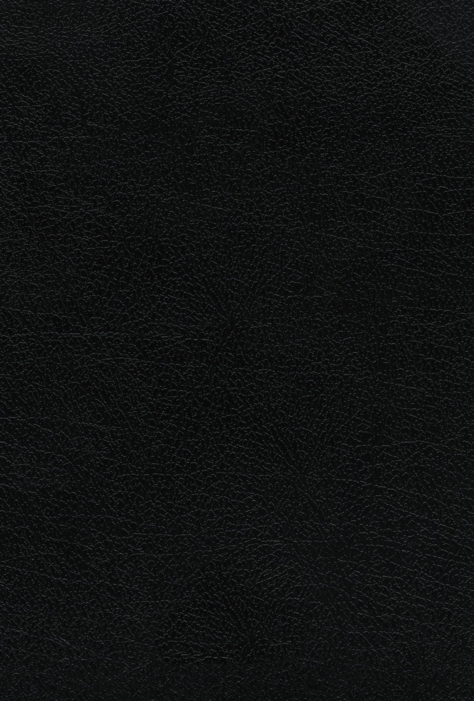 Nvi Biblia De Estudio Teologia Biblica Negro Piel Reciclada Interior a Cuatro Colores (Black Letter Edition)