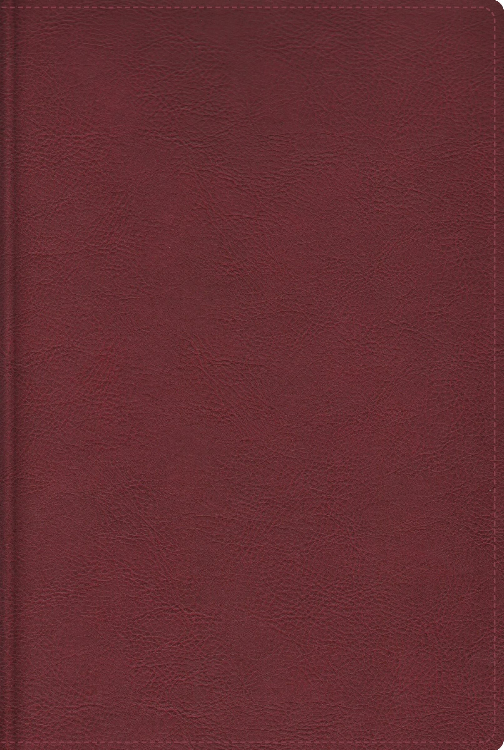 RVR Biblia de Estudio Trasfondo Cultural, Rojo Vino, Interior a Color (Spanish Edition)