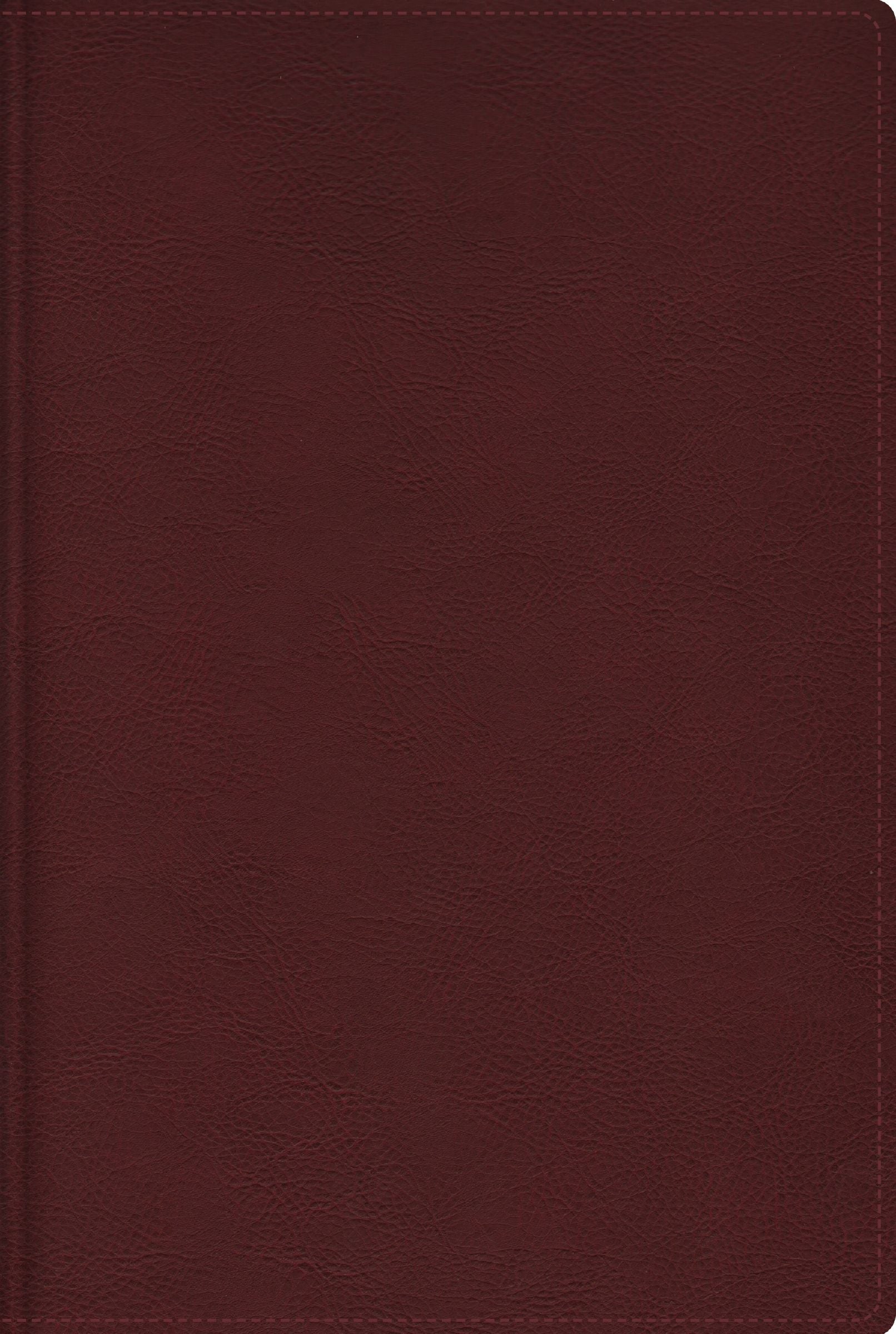 RVR Biblia de Estudio Trasfondo Cultural, Rojo vino, Interior a color, con Índice (Spnaish Edition)