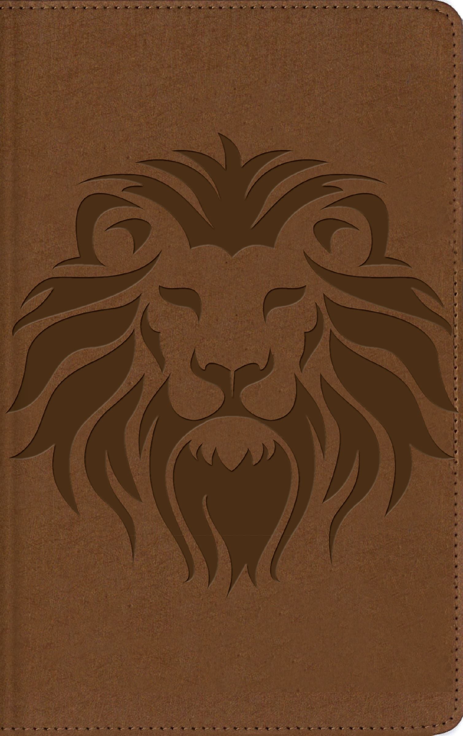Nbla Biblia Visual De Estudio Para Ninos Cafe (Spanish Edition)