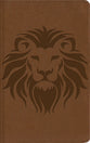 Nbla Biblia Visual De Estudio Para Ninos Cafe (Spanish Edition)