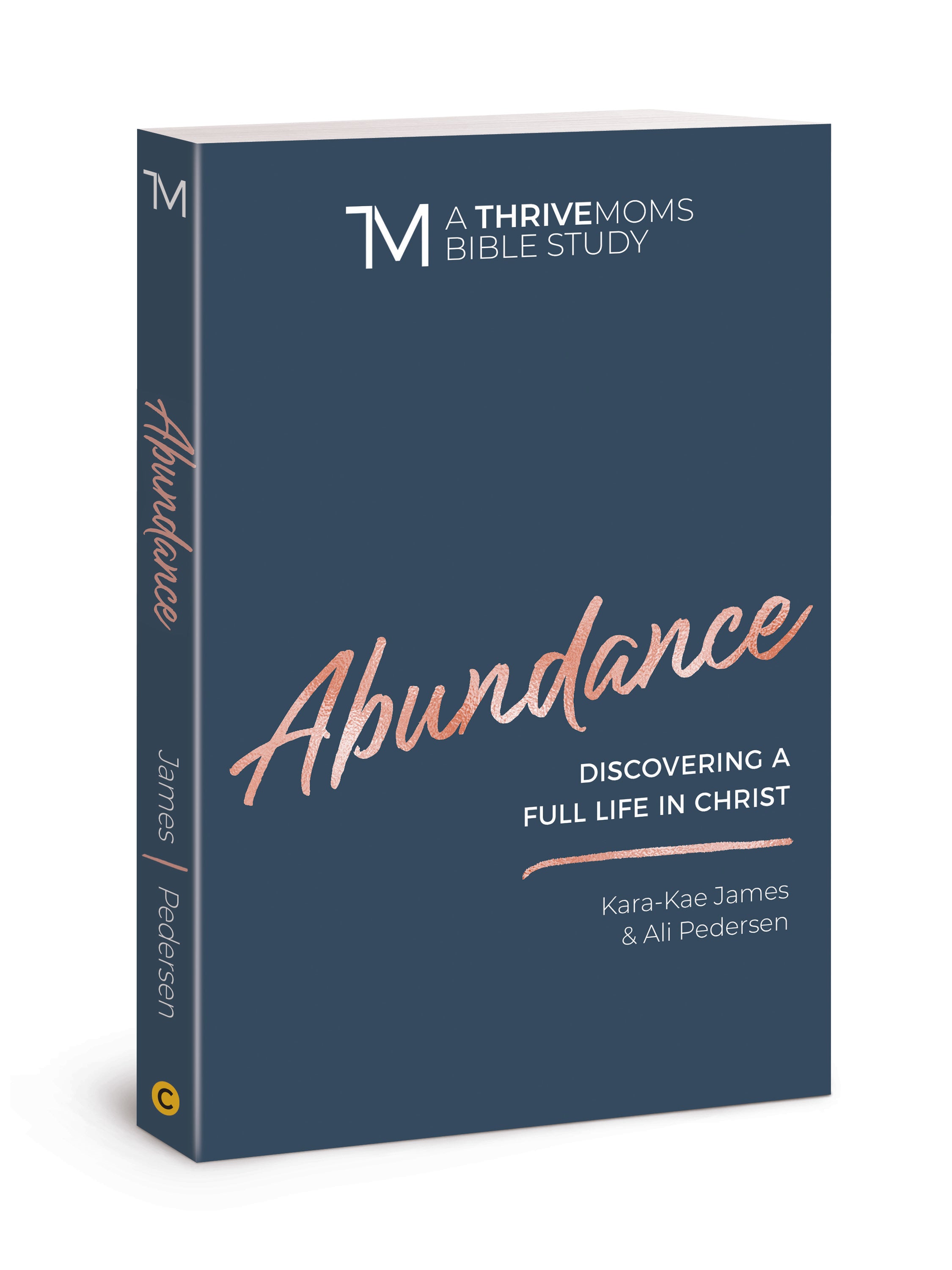 Abundance: Discovering a Full Life in Christ (Thrive Moms Bible Study Series)