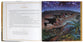 The Action Bible Christmas: 25 Stories About Jesus Arrival