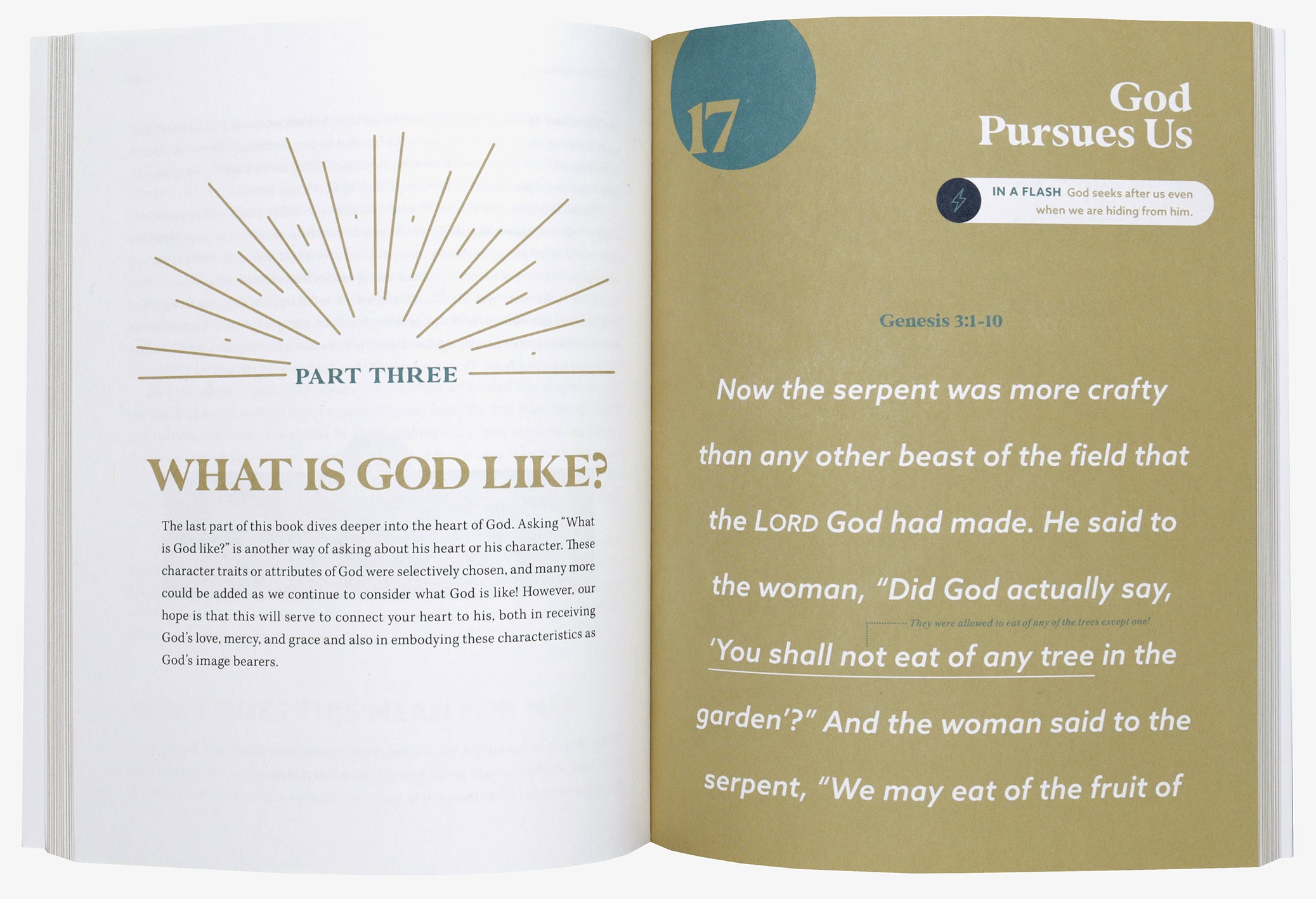 Flash Theology: A Visual Guide to Knowing and Enjoying God More