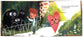 The Heart Who Wanted to Find a Way (#03 in Strongheart Stories Series)