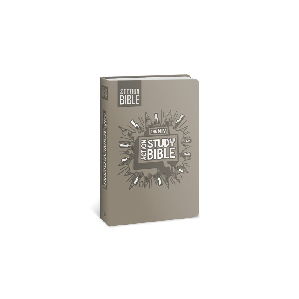 NIV Action Study Bible Premium Edition Gray (Action Bible Series)