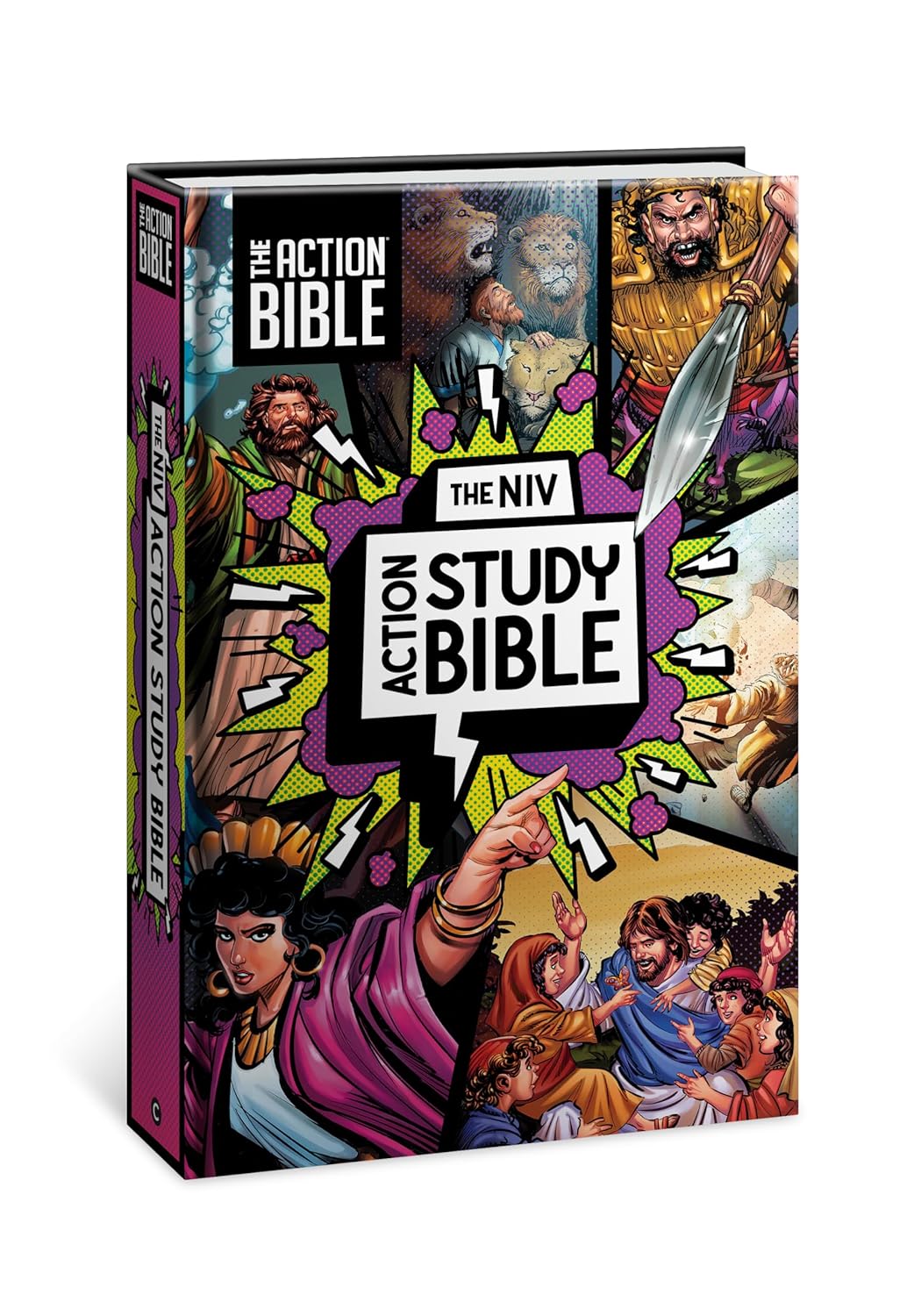 NIV Action Study Bible