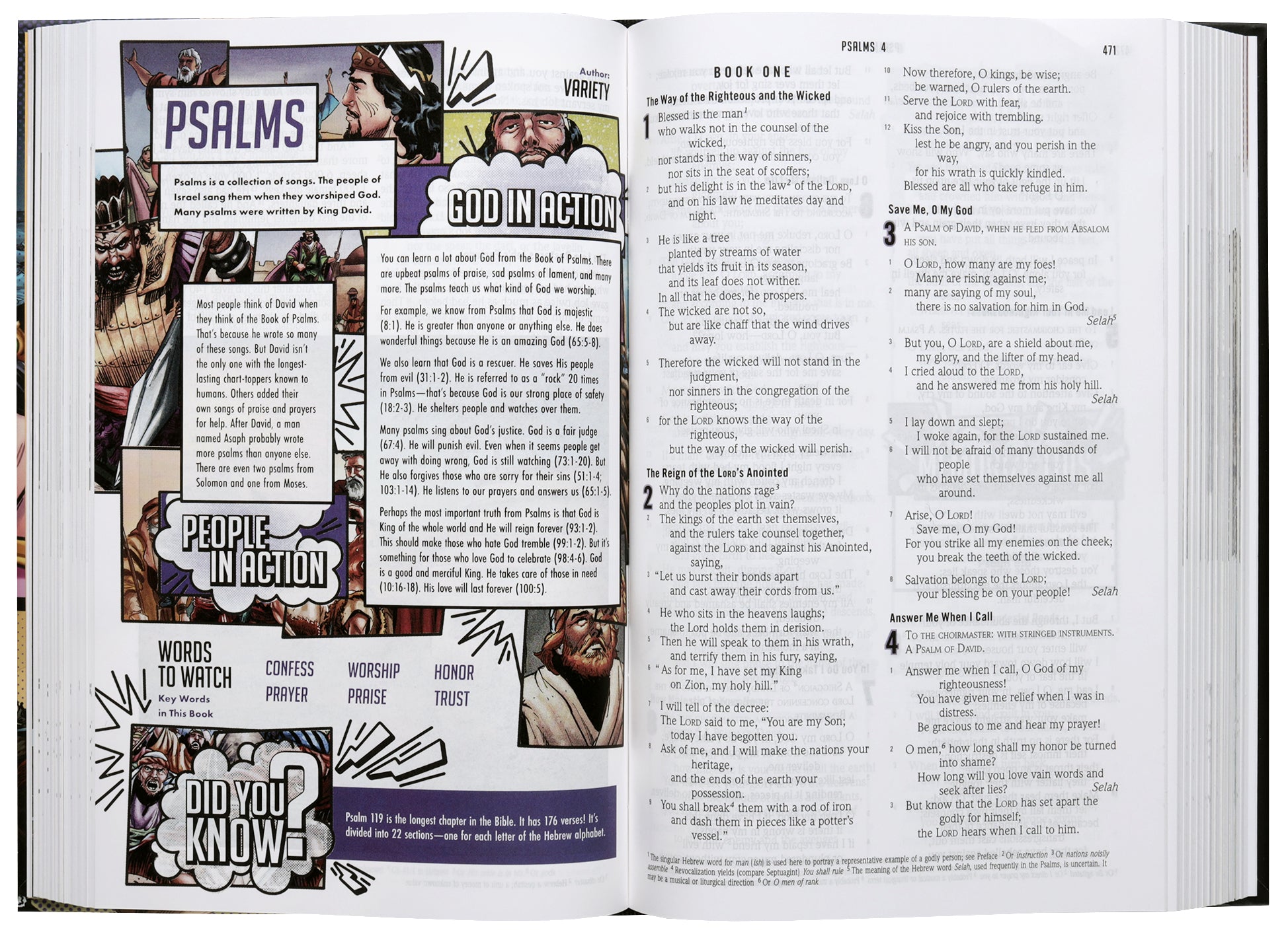 ESV Study Bible, Full Color (Action Bible Series)