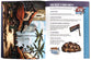 The Action Bible Ultimate Coloring and Activity Pack (2 book bundle) (Action Bible Series)
