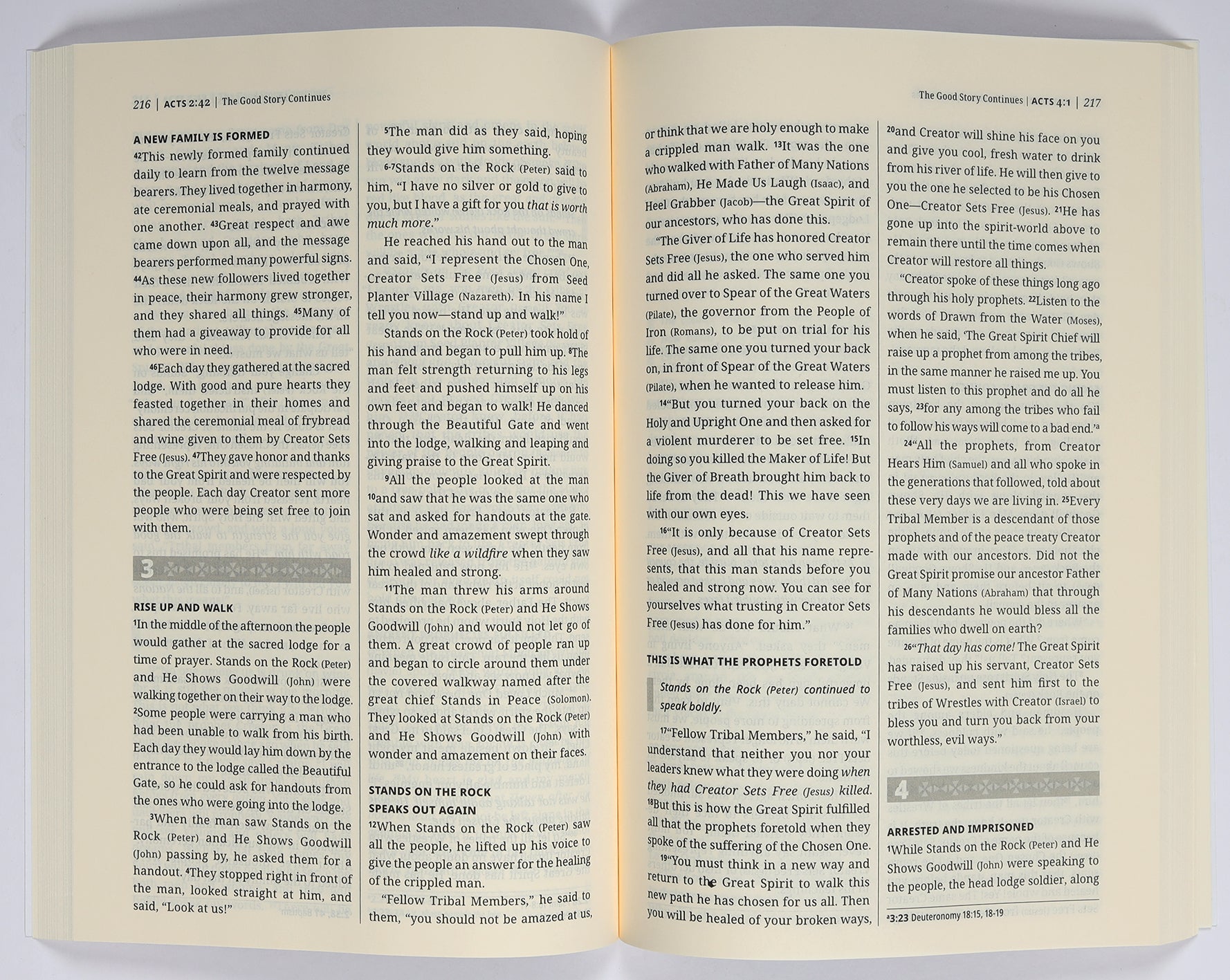 Fnv An Indigenous Translation of the New Testament (First Nations Version)