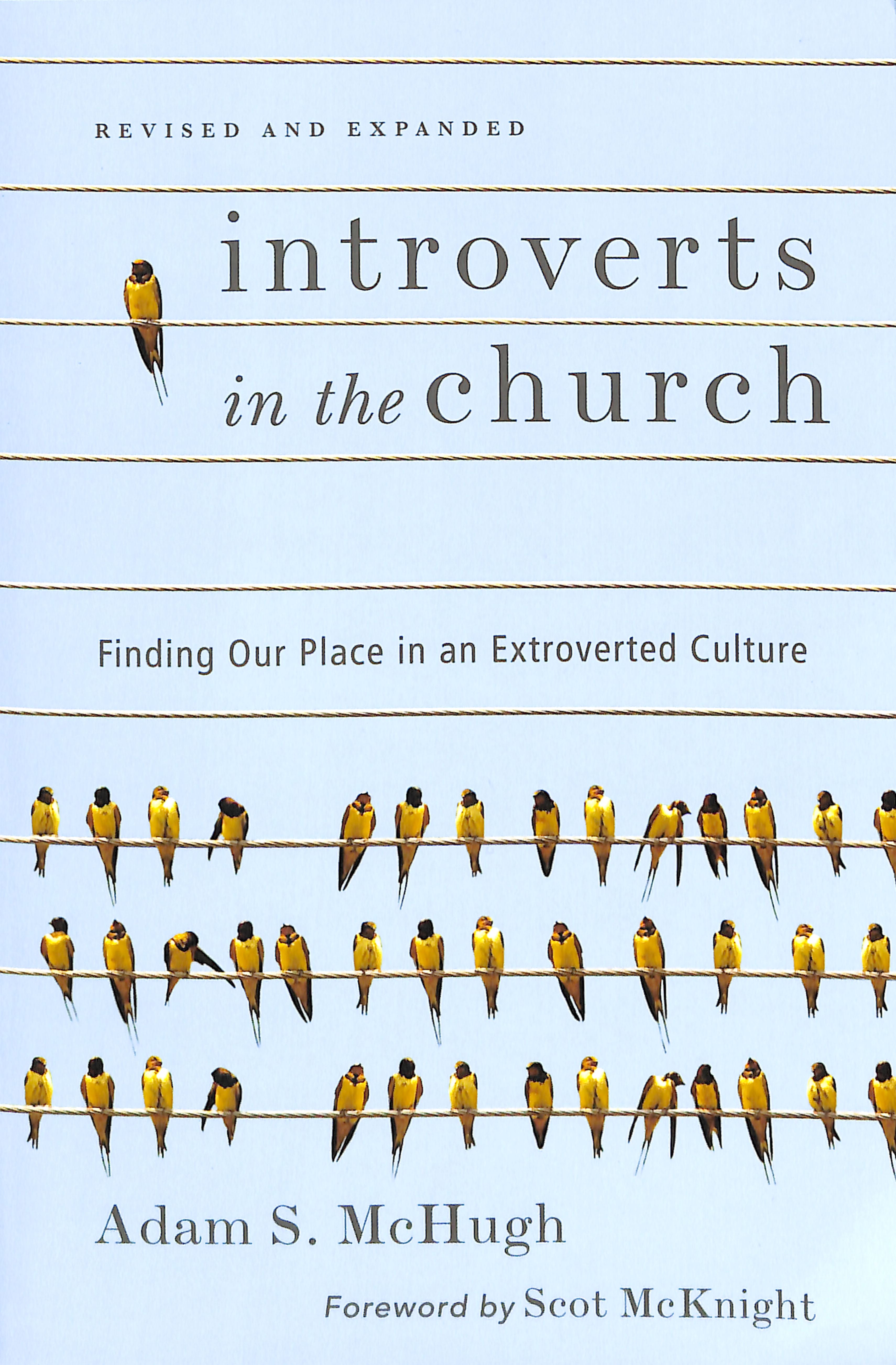 Introverts in the Church: Finding Our Place in An Extroverted Culture