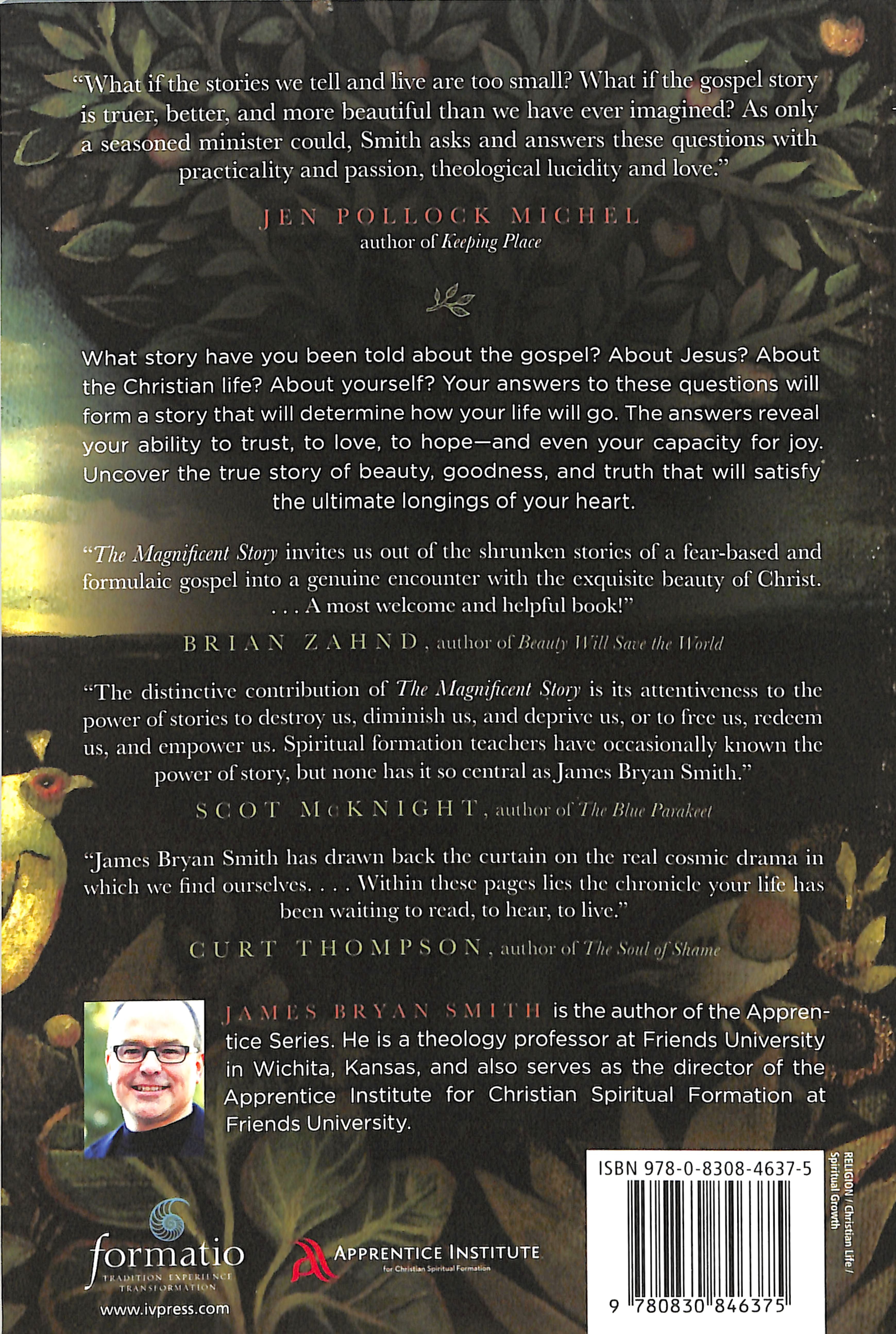 The Magnificent Story: Uncovering a Gospel of Beauty, Goodness, and Truth