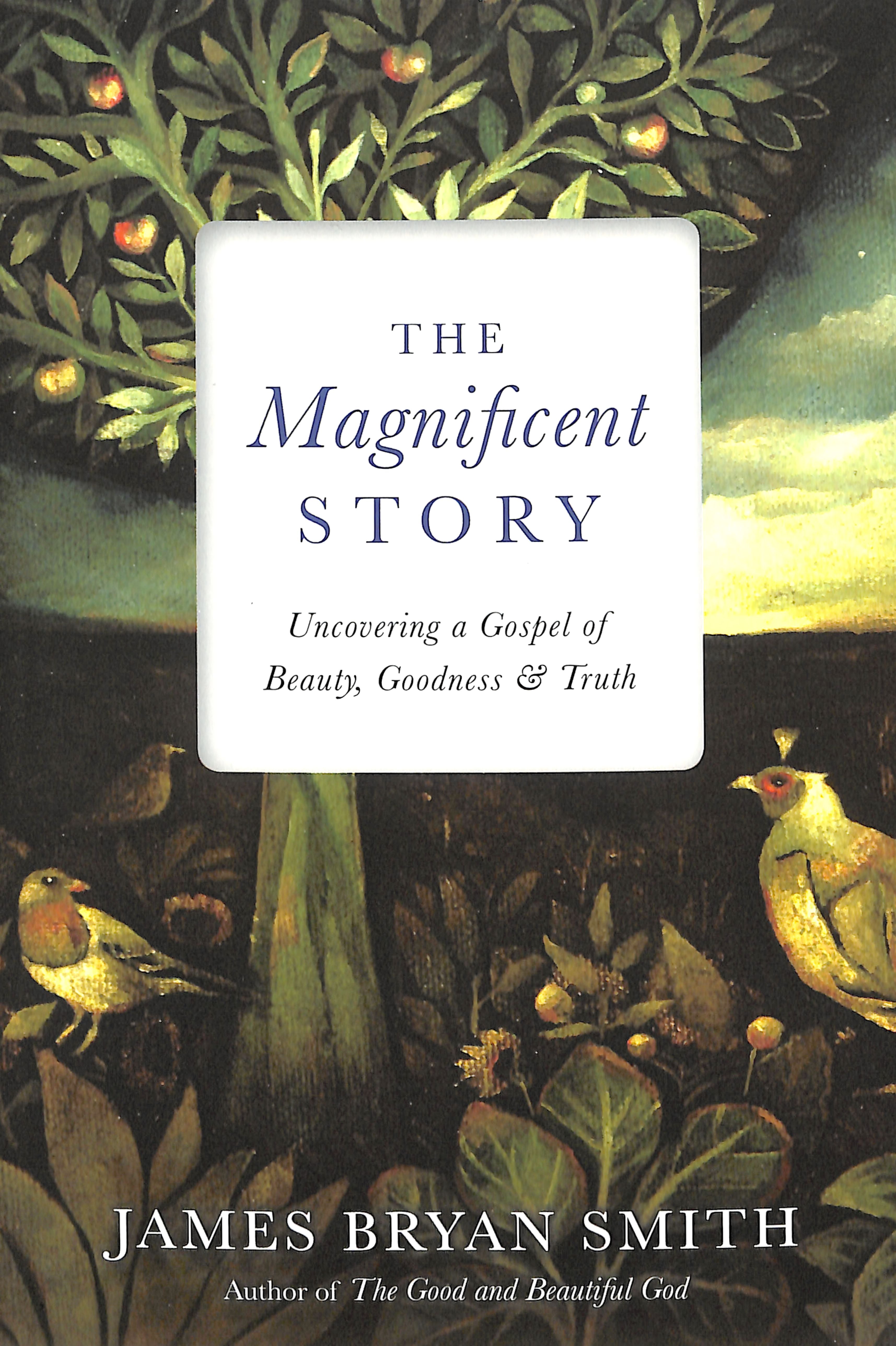 The Magnificent Story: Uncovering a Gospel of Beauty, Goodness, and Truth