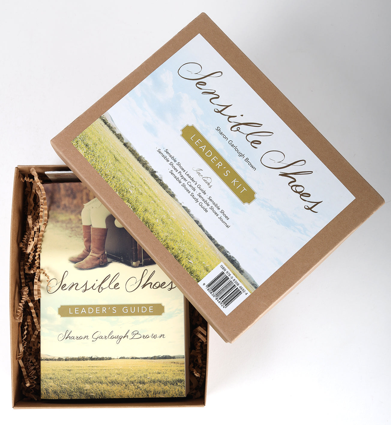 Sensible Shoes : Contains the Novel, Journal, Leader's Guide, Participant's Guide & Retreat Formats (Leader Kit) (#01 in Sensible Shoes Series)
