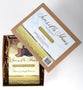 Sensible Shoes : Contains the Novel, Journal, Leader's Guide, Participant's Guide & Retreat Formats (Leader Kit) (#01 in Sensible Shoes Series)