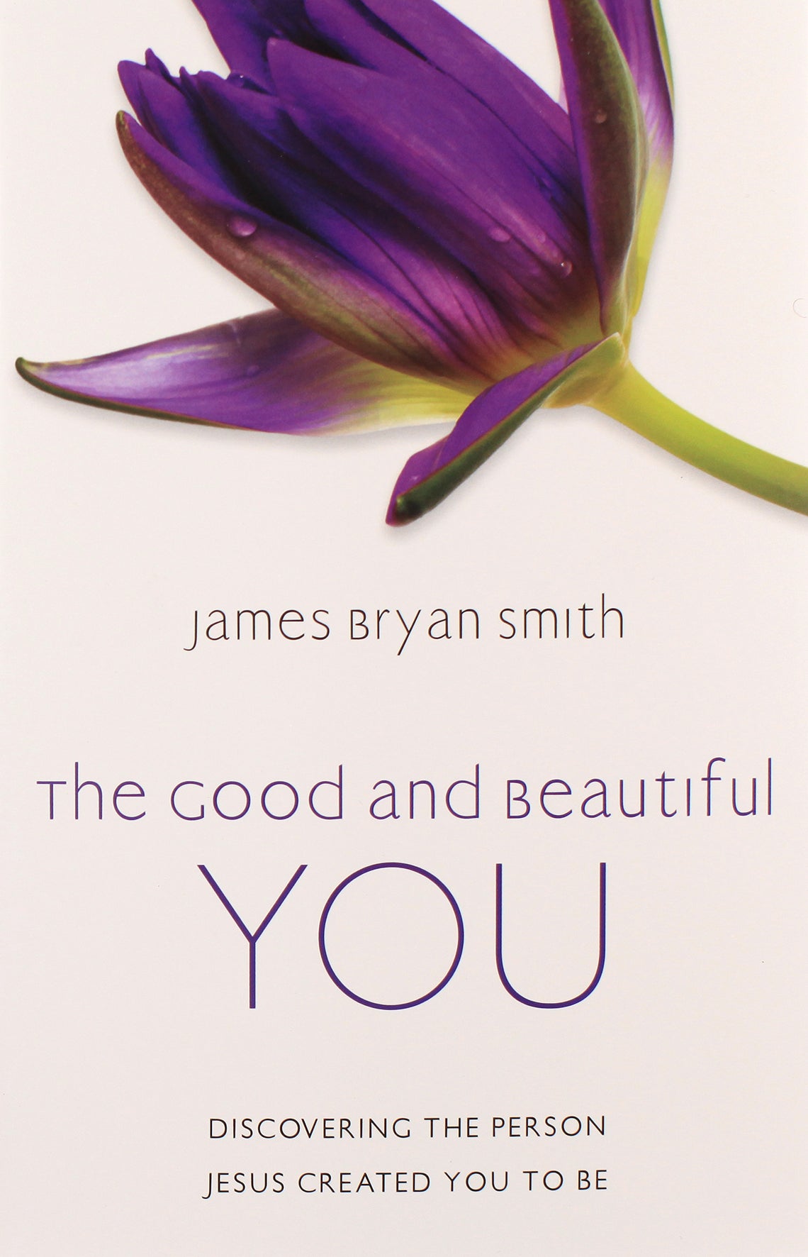 The Good and Beautiful You: Discovering the Person Jesus Created You to Be