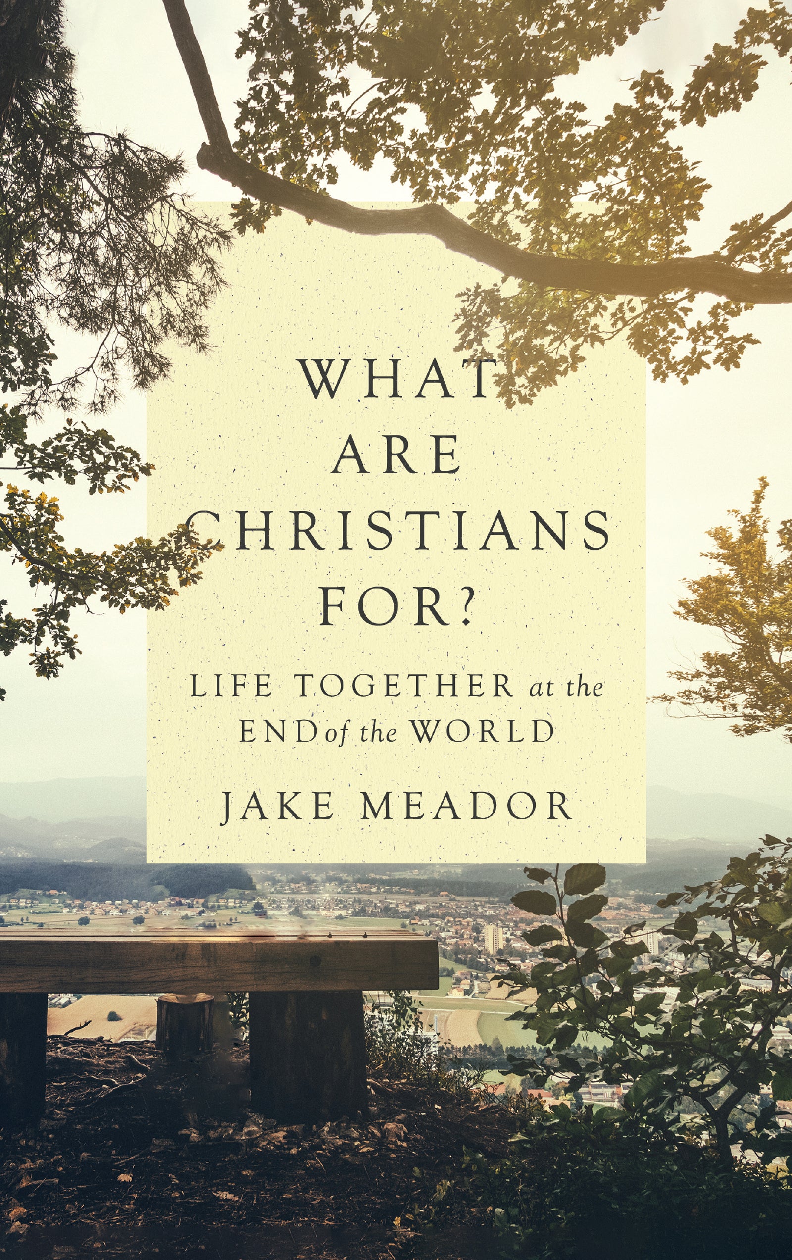 What Are Christians For?: Life Together At the End of the World