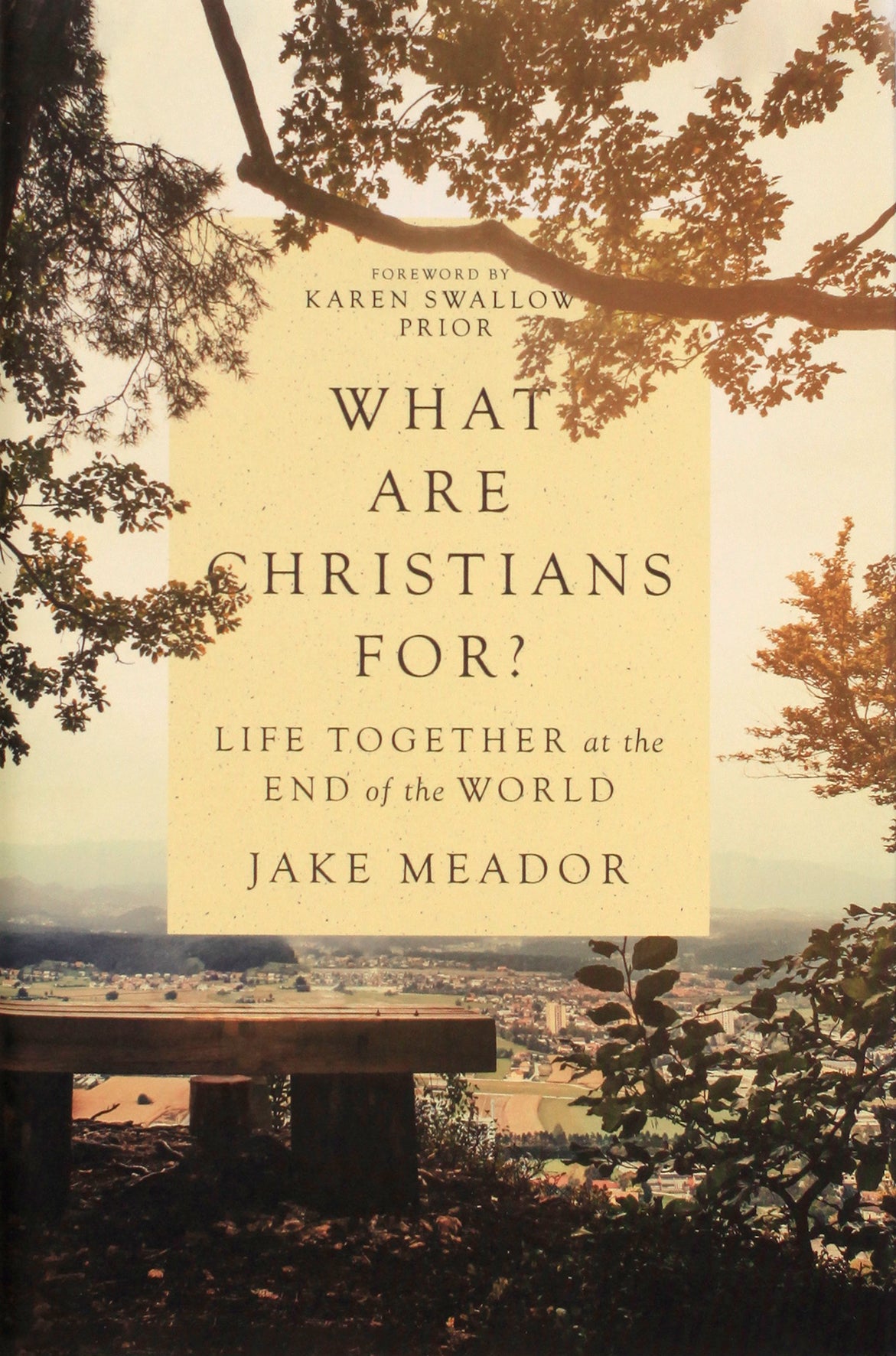 What Are Christians For?: Life Together At the End of the World