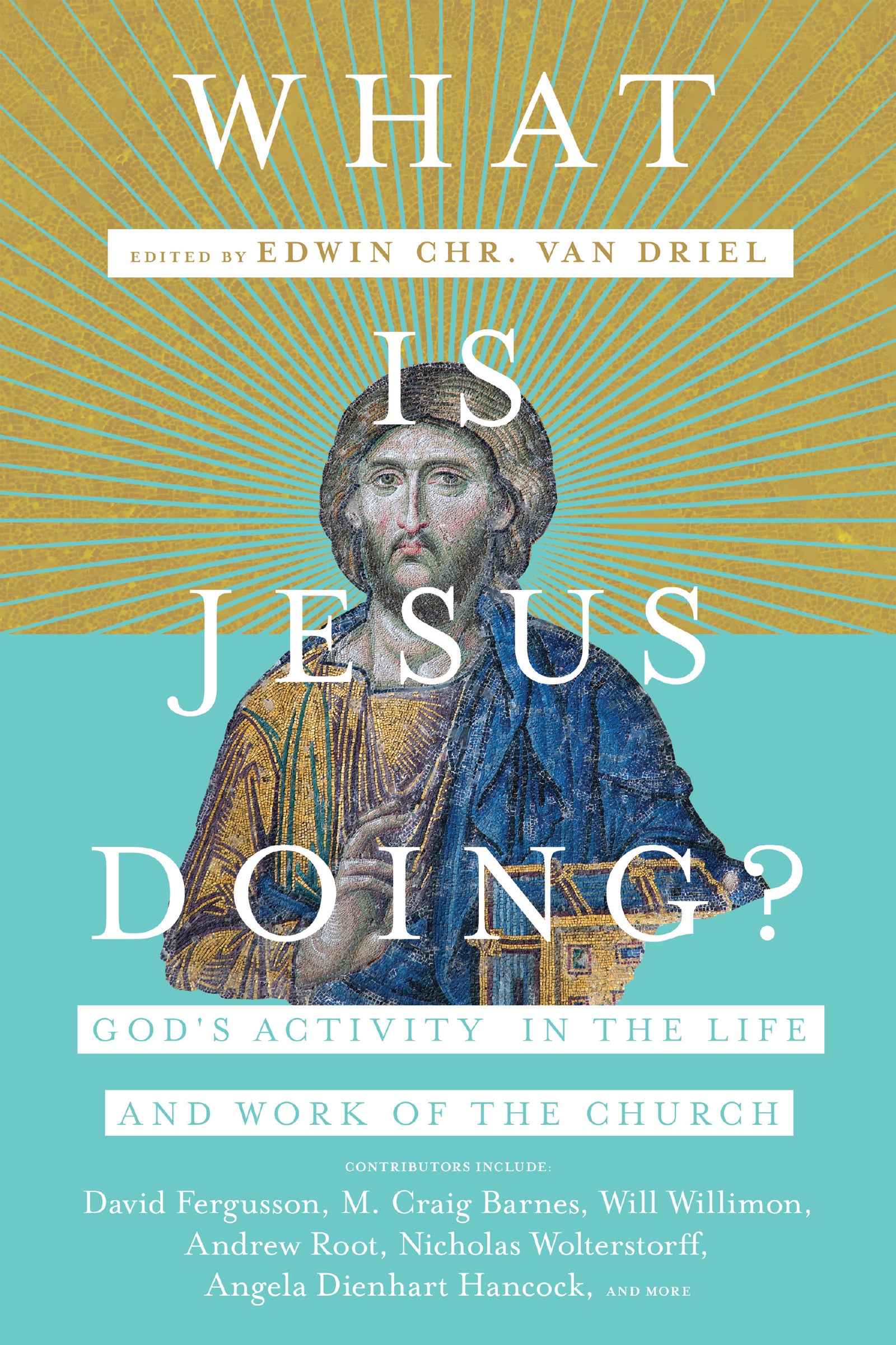 What is Jesus Doing?: God's Activity in the Life and Work of the Church