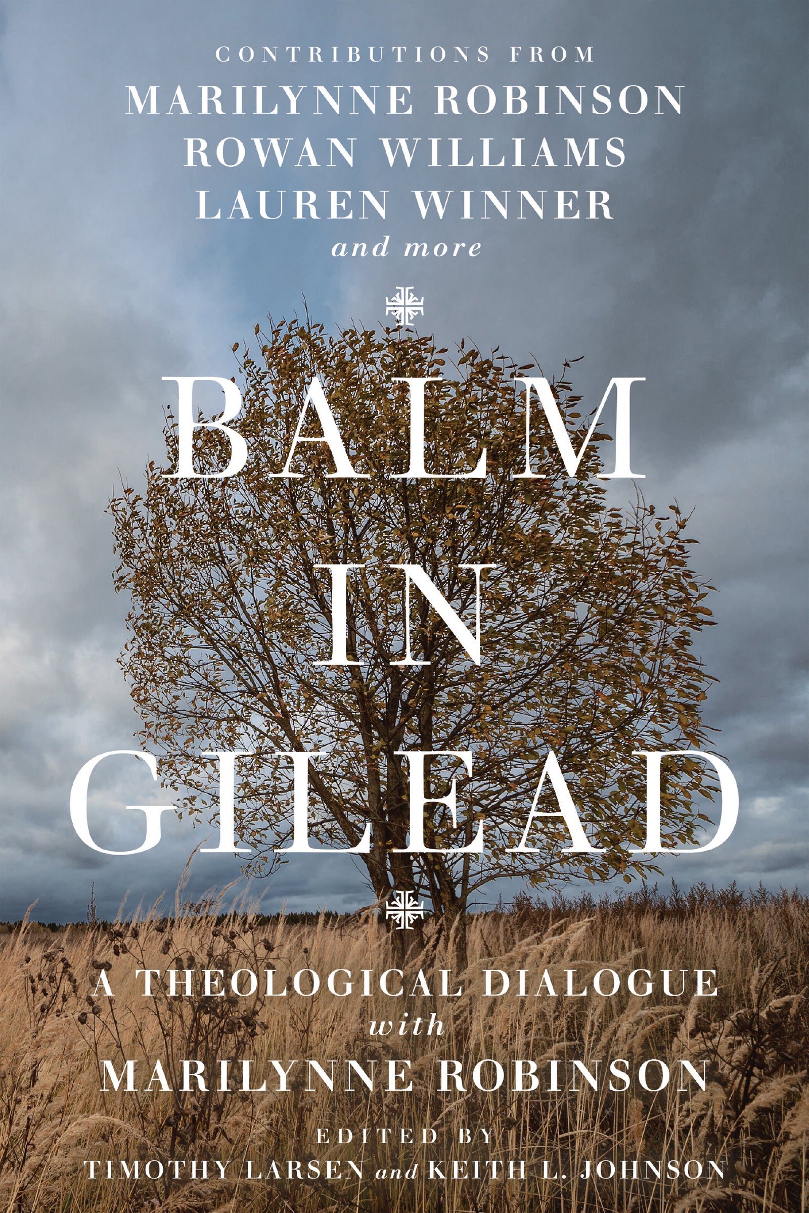 Balm in Gilead: A Theological Dialogue With Marilynne Robinson