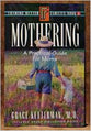 Mothering (Framing Better Families Series)