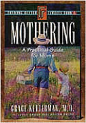 Mothering (Framing Better Families Series)