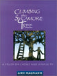 Climbing the Sycamore Tree