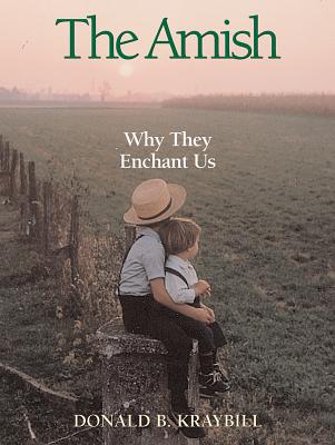 Amish: Why They Enchant Us