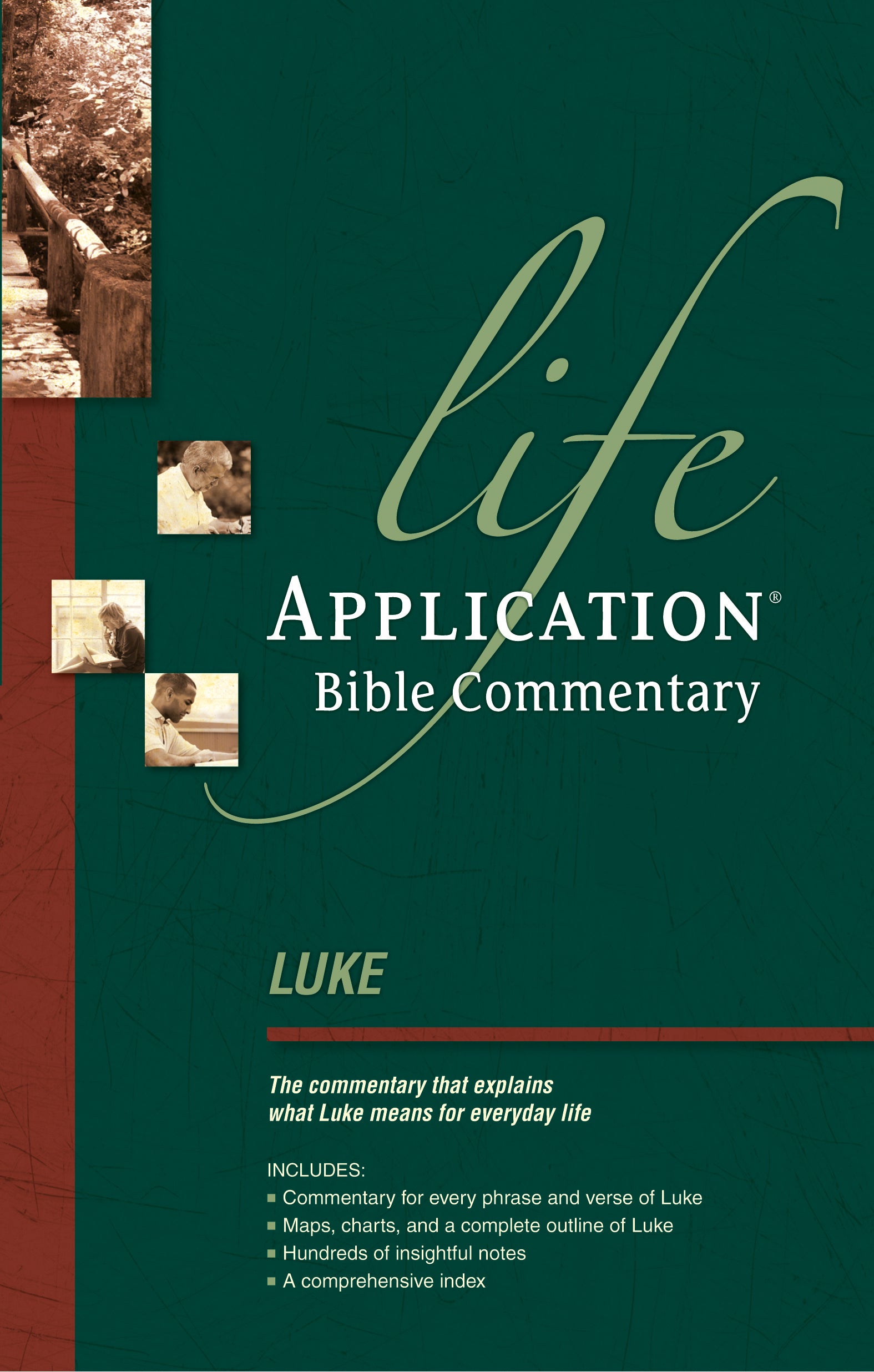 Luke (Life Application Bible Commentary Series)