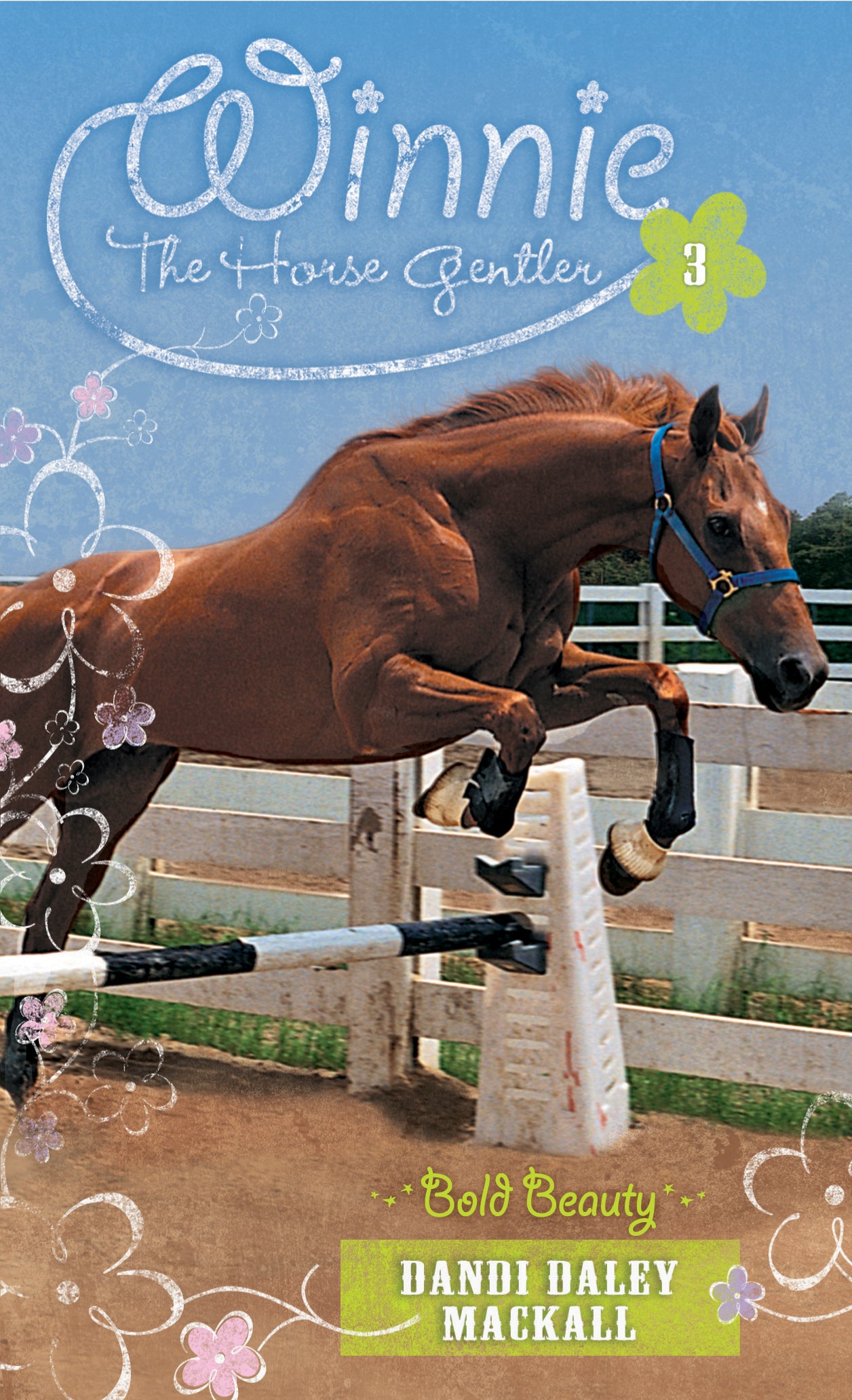 Bold Beauty (#03 in Winnie The Horse Gentler Series)