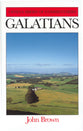 Galatians (Geneva Series Of Commentaries)