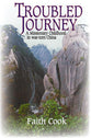 Troubled Journey