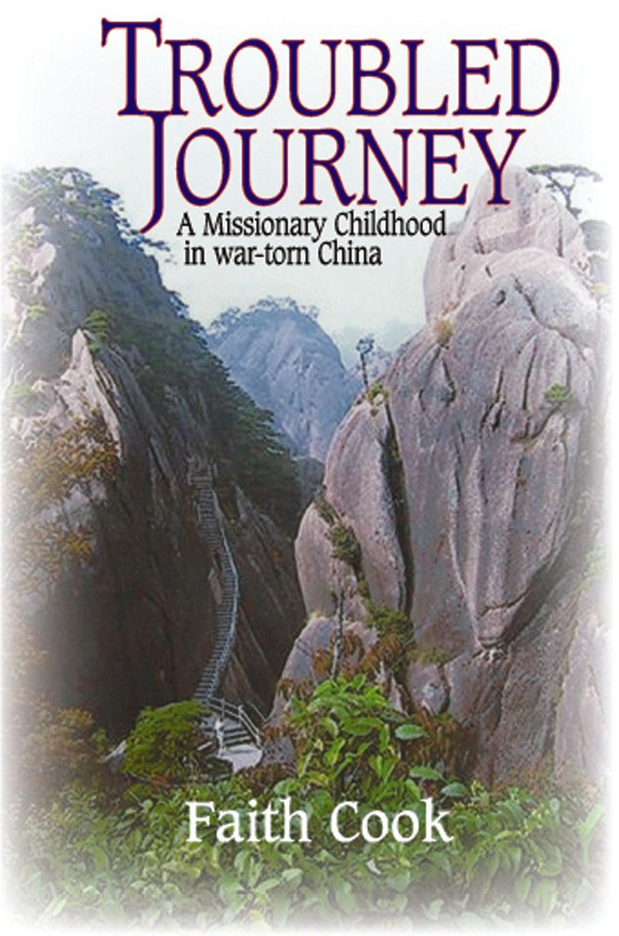 Troubled Journey