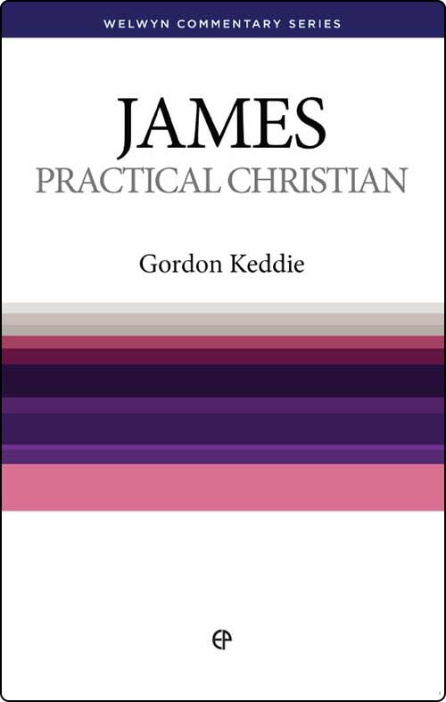 James: The Practical Christian (Welwyn Commentary Series)