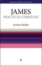 James: The Practical Christian (Welwyn Commentary Series)