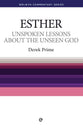 Esther: Unspoken Lessons About the Unseen God (Welwyn Commentary Series)