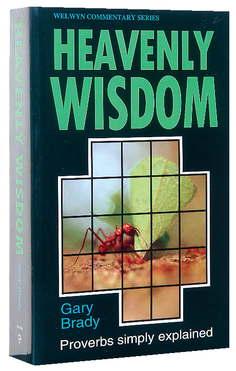 Proverbs: Heavenly Wisdom (Welwyn Commentary Series)