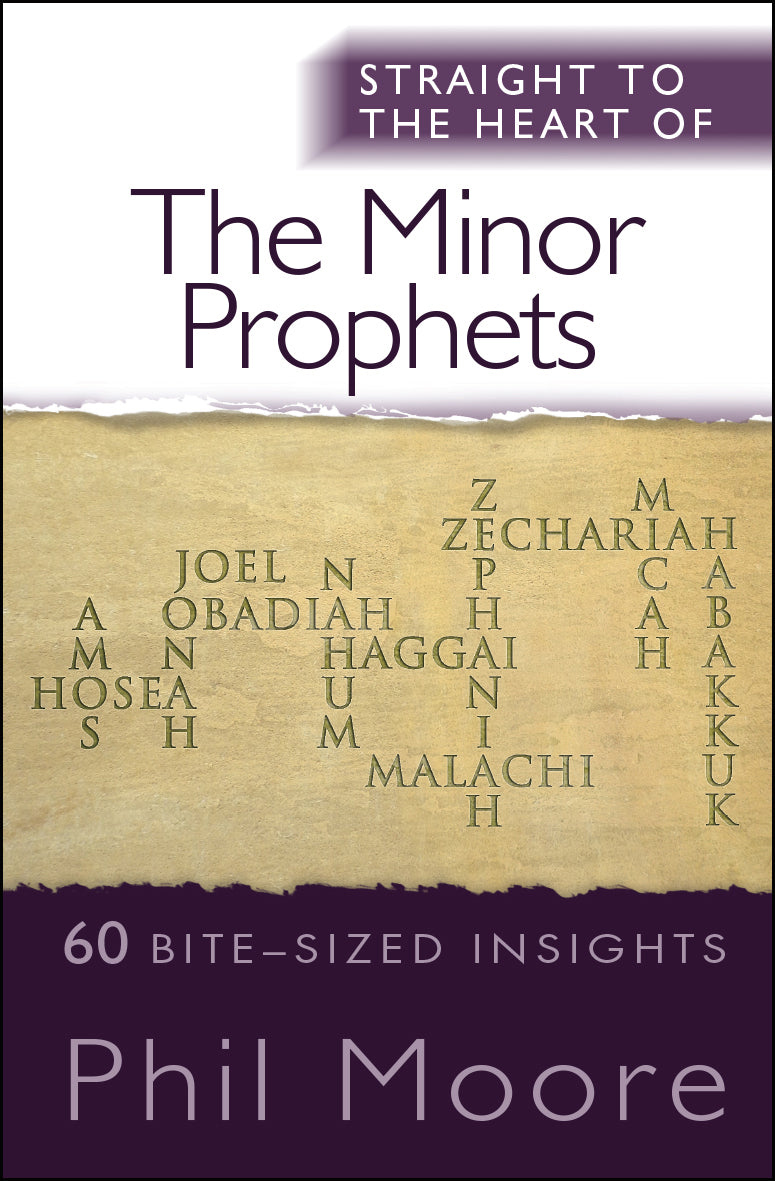 Minor Prophets, The: 60 Bite-Sized Insights (Straight To The Heart Of Series)