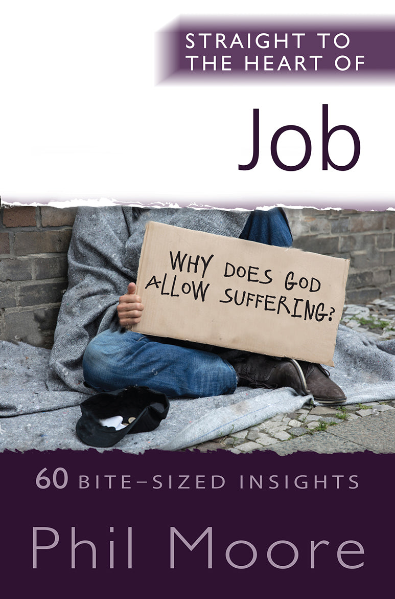 Job: 60 Bite-Sized Insights (Straight To The Heart Of Series)