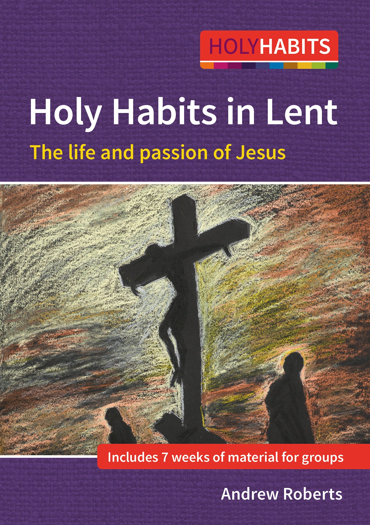 Following Jesus: Ideal For Lent and Other Times (Holy Habits Series)