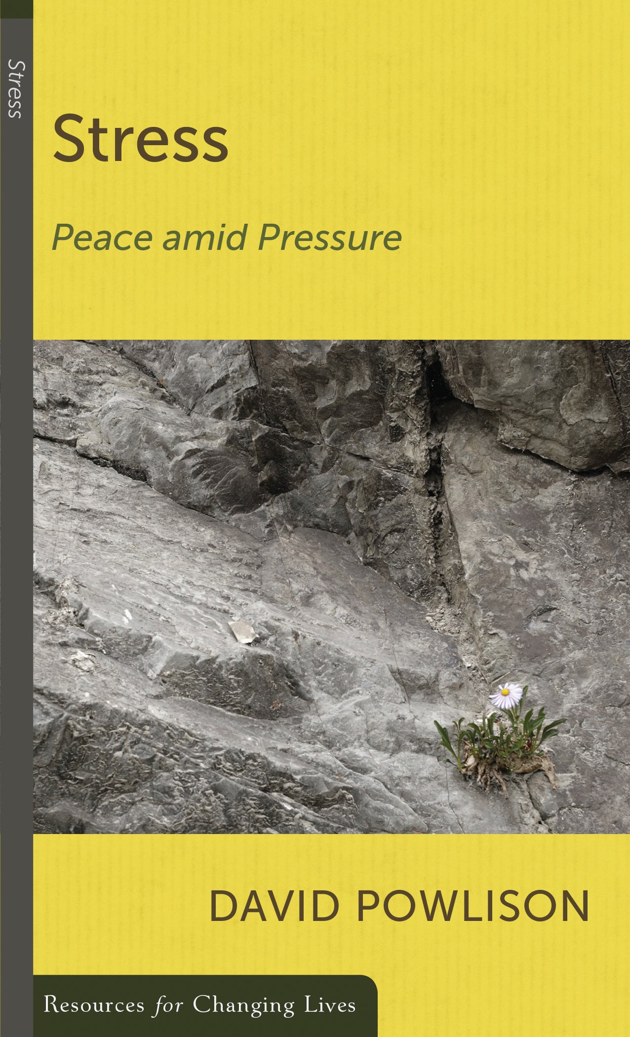 Stress: Peace Amid Pressure (Resources For Changing Lives Series)